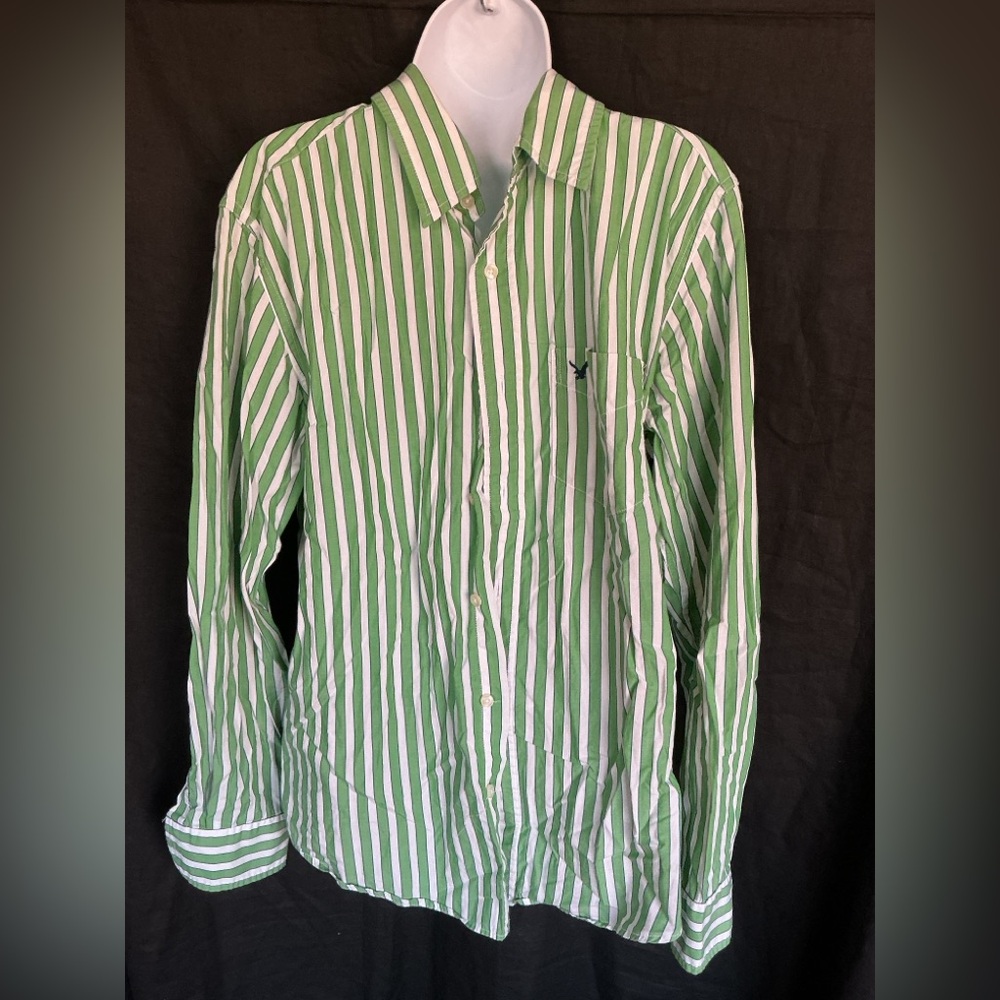 American Eagle Outfitters Green and White Striped Shirt